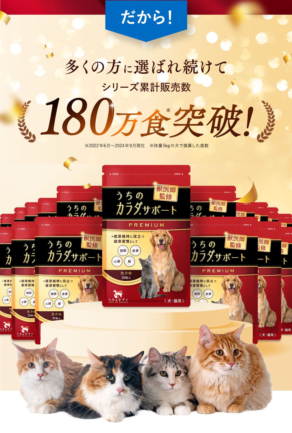 うちカラサポLP_猫01_05