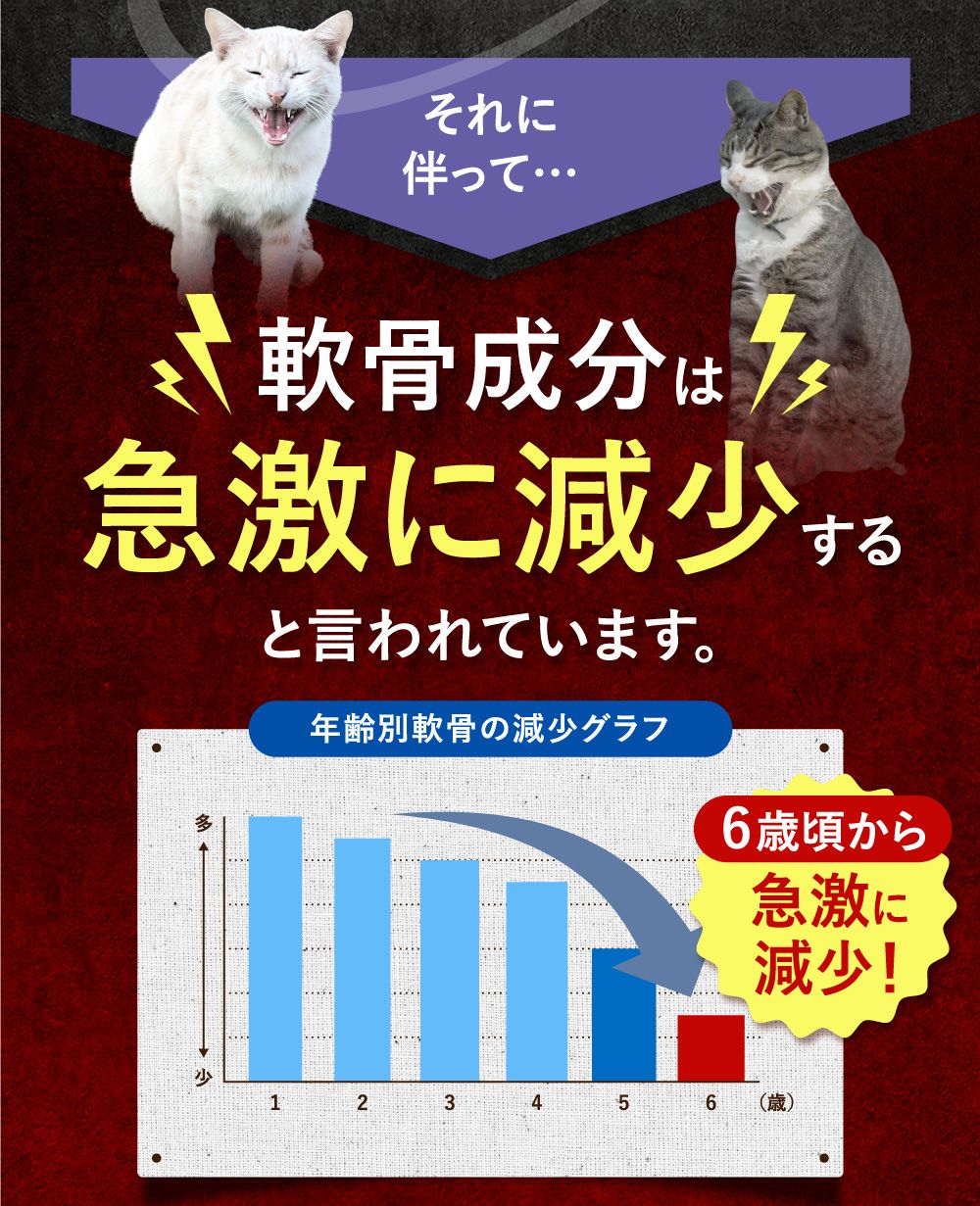 うちカラサポLP_猫02_04