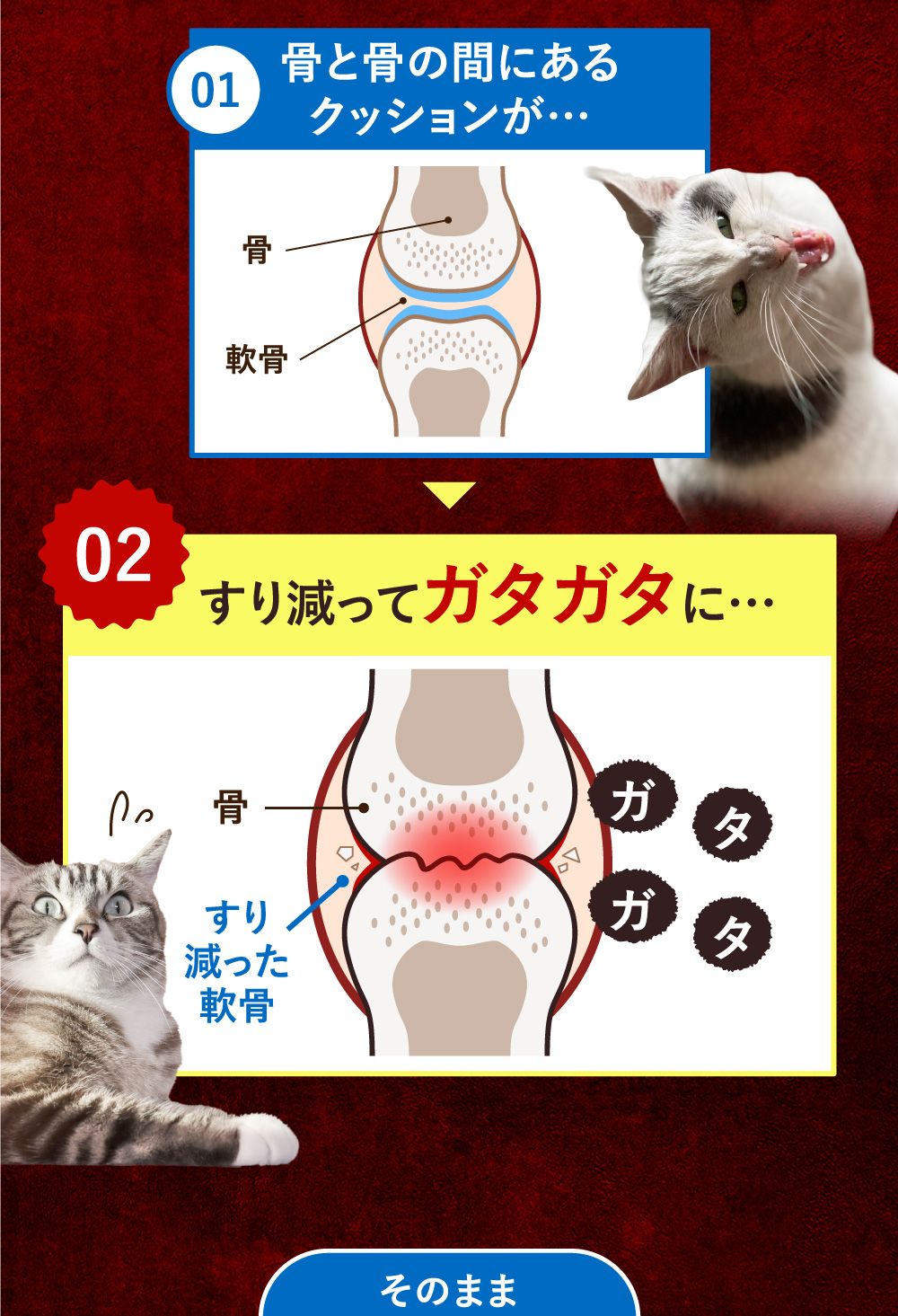 うちカラサポLP_猫02_05