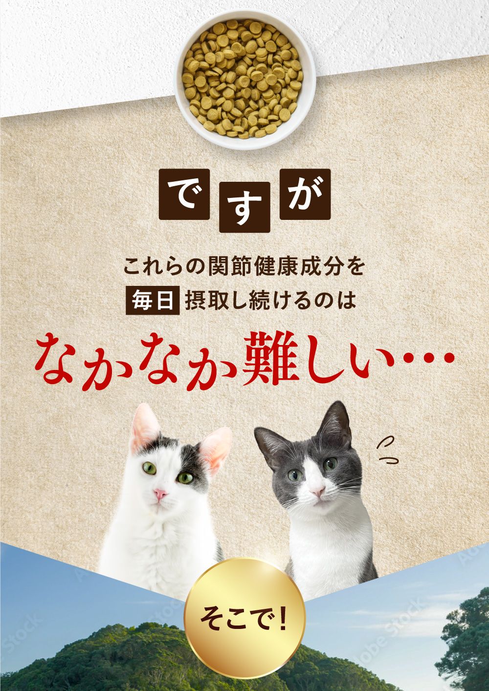 うちカラサポLP_猫02_08