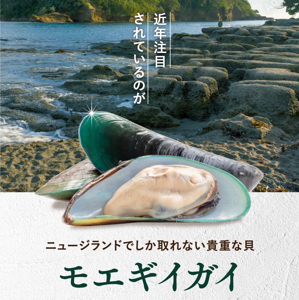 うちカラサポLP_猫02_09