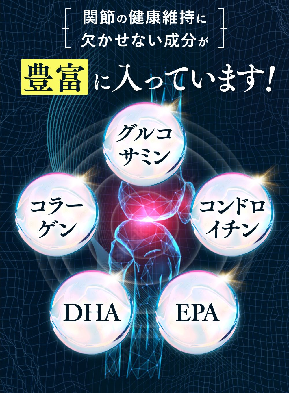 うちカラサポLP_猫02_11